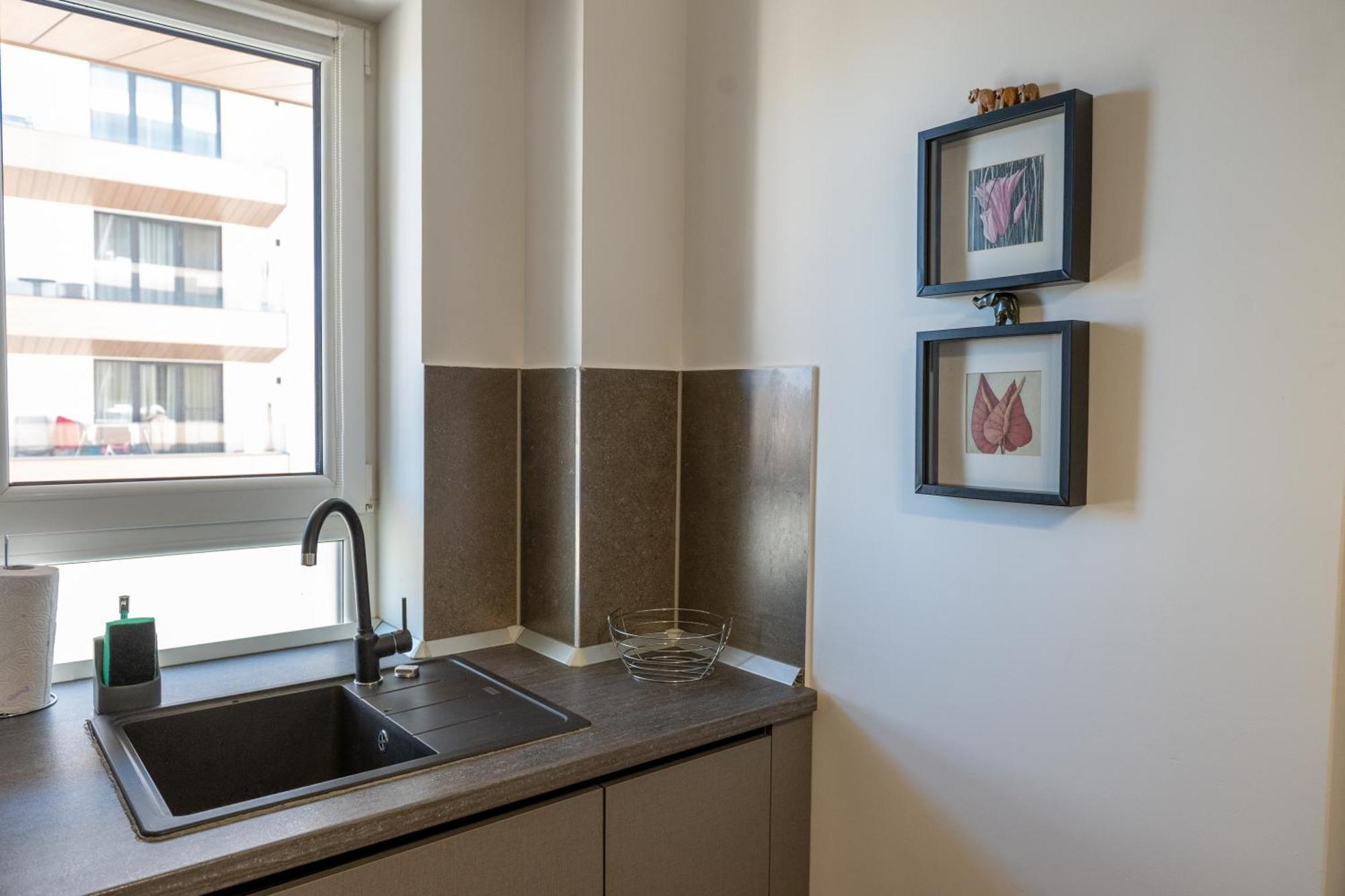 Apartament cu 1 dormitor