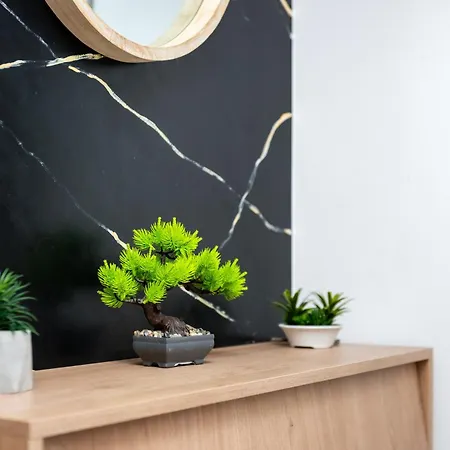Mohost Balance Apartments - Complex Qualis Brasov-3
